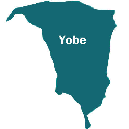 Yobe government revokes licenses of all private schools